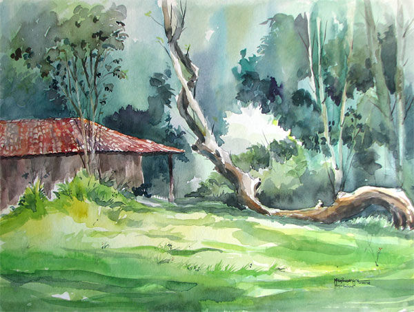 Arbol caido /Acuarela