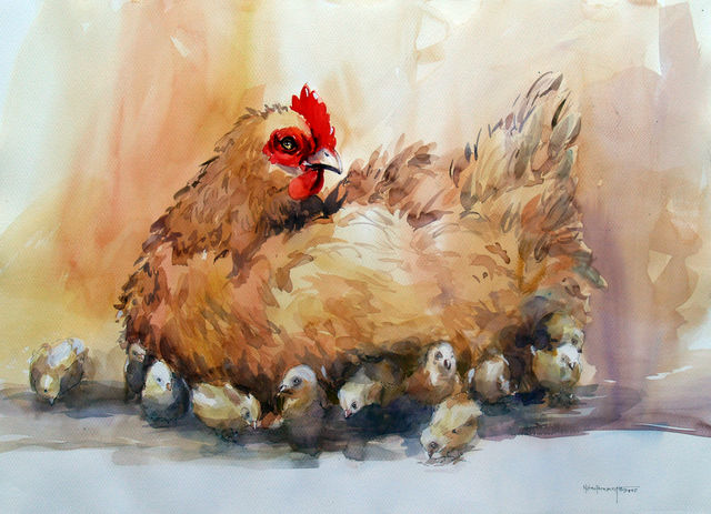 Gallina con polluelos /Acuarela
