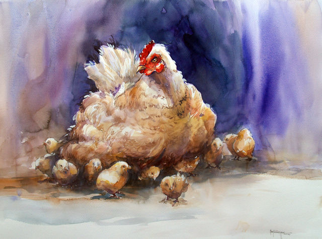 GAllina con polluelos II / ACuarela